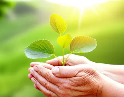 Illustration cherished - Image 1