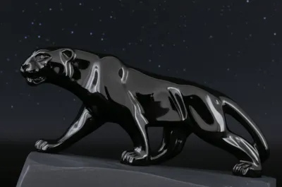 Illustration ebony - Image 1