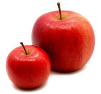 Illustration comp - Image 1