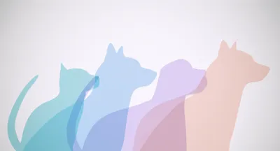 Illustration resemblances - Image 1