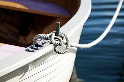 Illustration painter - Image 1