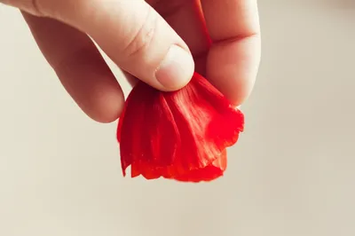 Illustration crumpling - Image 1