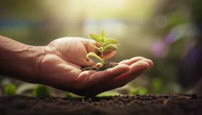 Illustration hands - Image 1