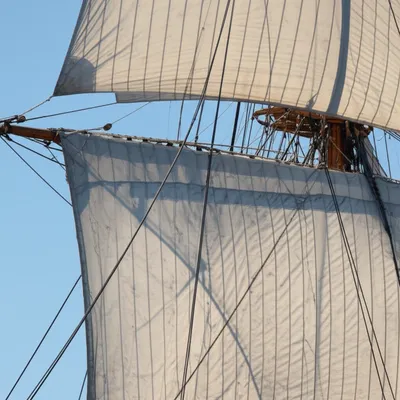 Illustration jackstay