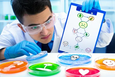 Illustration proving - Image 1