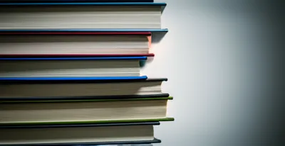 Illustration penultimate - Image 1