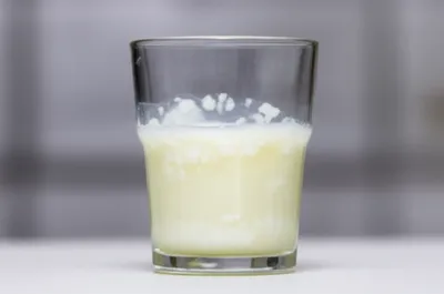 Illustration quail - Image 1