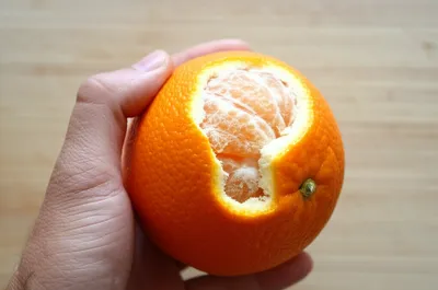 Illustration rind - Image 1