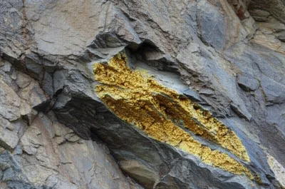 Illustration ledge - Image 1