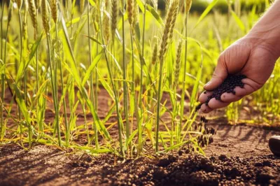 Illustration dresses - Image 1