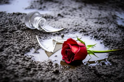 Illustration insult - Image 1