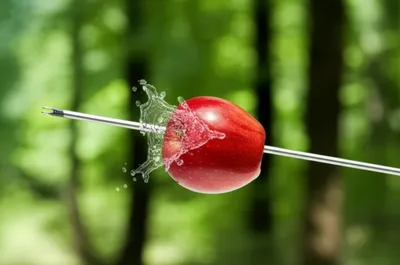 Illustration reached - Image 1