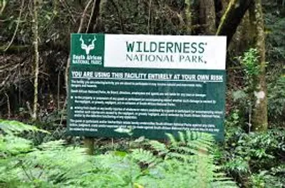 Illustration sanctuary - Image 4