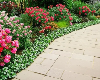 Illustration encroach - Image 1