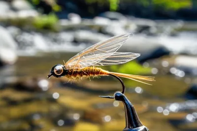 Illustration midge - Image 1