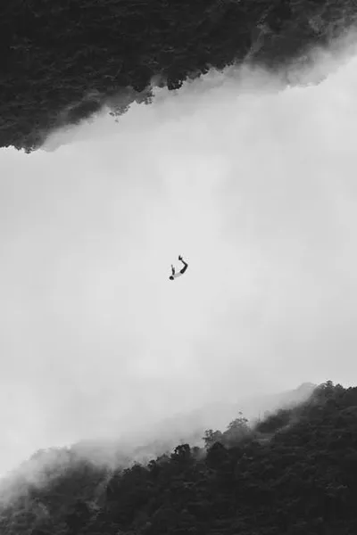 Illustration soloing - Image 2