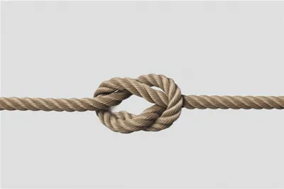 Illustration reduces - Image 1