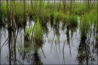 Illustration carrs - Image 1