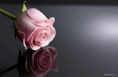 Illustration endings - Image 1