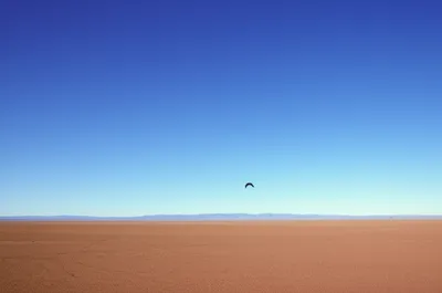 Illustration broadest - Image 1