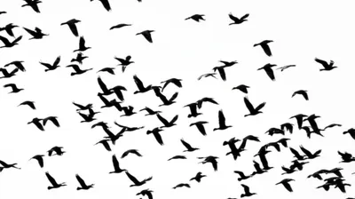 Illustration modulation - Image 1