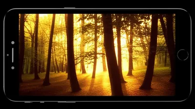 Illustration screensaver - Image 1