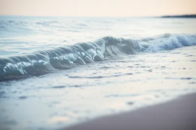 Illustration brim - Image 1