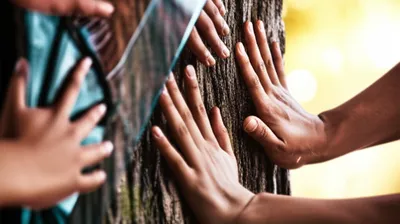 Illustration sensing - Image 1