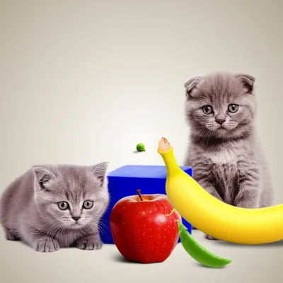 Illustration min - Image 1