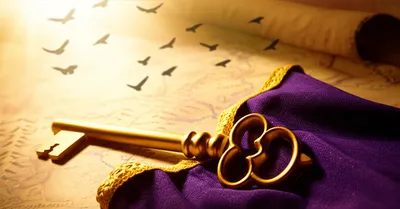 Illustration primate - Image 1