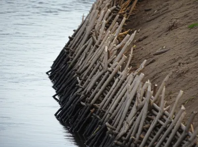 Illustration twilled - Image 1