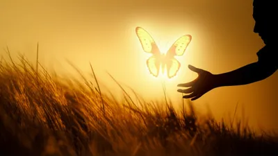 Illustration chases - Image 1