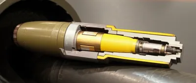 Illustration shells - Image 1