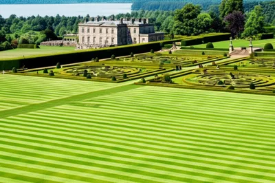 Illustration policies - Image 1