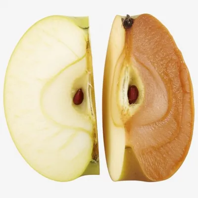 Illustration browning