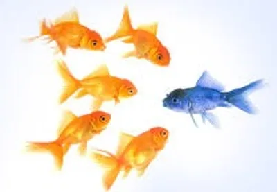 Illustration unpopularity - Image 2