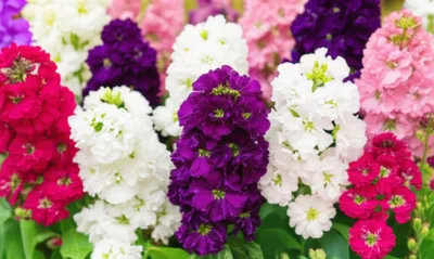 Illustration stocks - Image 1