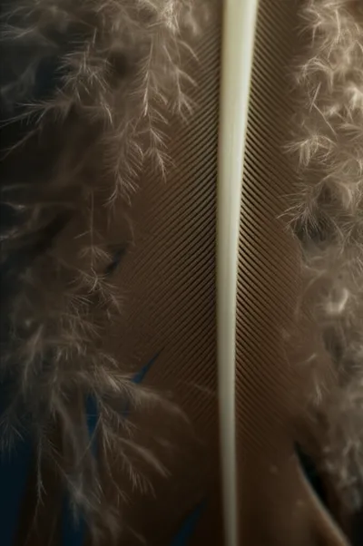 Illustration web - Image 1