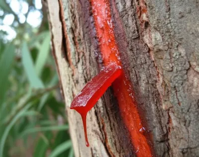 Illustration kino - Image 1