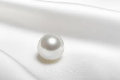 Illustration superfine - Image 1