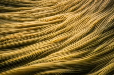 Illustration whistling - Image 1