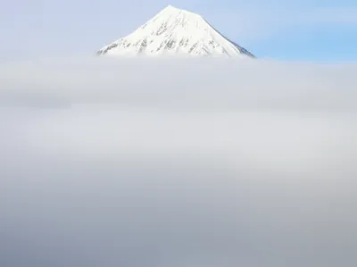 Illustration mantling - Image 1