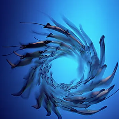 Illustration fevers - Image 1