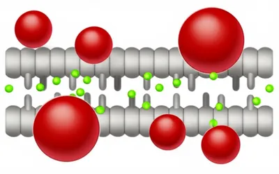 Illustration barriers - Image 1