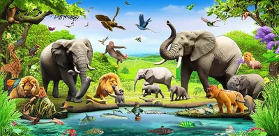 Illustration tribes - Image 1