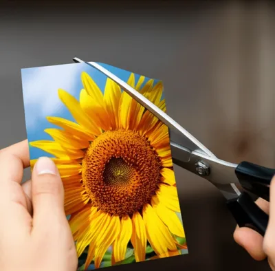 Illustration cropping - Image 1