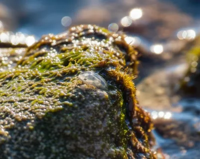 Illustration sets - Image 1