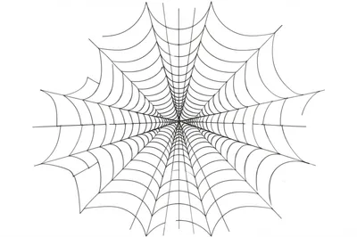 Illustration spider - Image 1