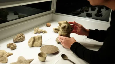 Hình ảnh minh họa accession - Ảnh 1