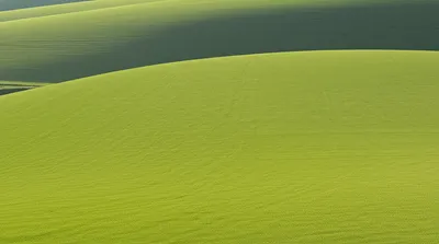 Illustration flattening - Image 1